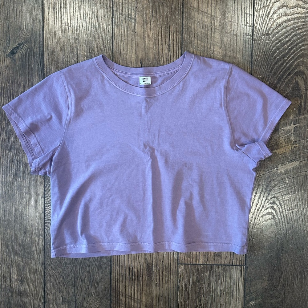 Aritzia Lilac Cropped Short Sleeve Tee
